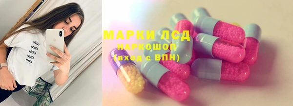 гидра Нея