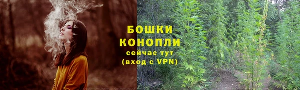 гидра Нея