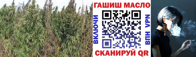 ТГК THC oil Зеленоградск