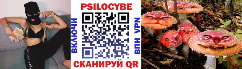 купить наркотик  Зеленоградск  Псилоцибиновые грибы мухоморы 